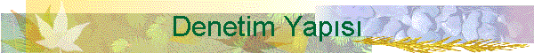 Denetim Yaps