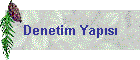 Denetim Yaps