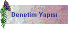Denetim Yaps