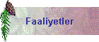 Faaliyetler