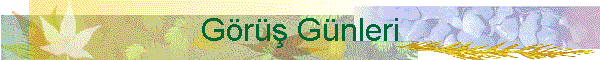 Gr Gnleri
