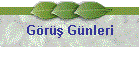 Gr Gnleri