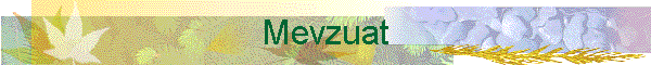 Mevzuat