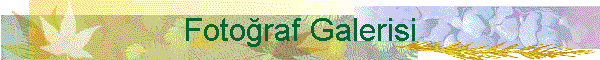 Fotoraf Galerisi