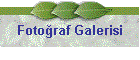 Fotoraf Galerisi