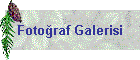 Fotoraf Galerisi
