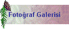 Fotoraf Galerisi