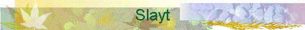 Slayt