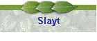 Slayt