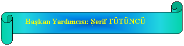 Yatay Kaydrma:     Bakan Yardmcs: erif TTNC
 
