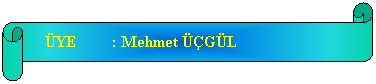 Yatay Kaydrma:    YE         : Mehmet GL
 
